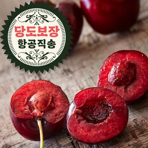 오라밀 달콤탱글한 칠레산 생 체리, 1박스, 500g(L 과)