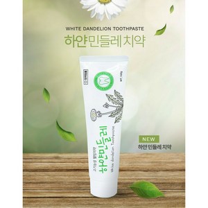 구취제거 미백치약 기능성 화이트닝 마데병풀 하얀민들레, 150g, 1개