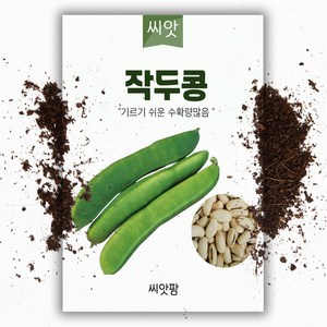 백 작두콩 씨앗 (10립), 1개