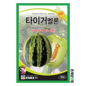 [주주씨앗] 타이거멜론 30립 멜론씨앗 종자 씨, 1개
