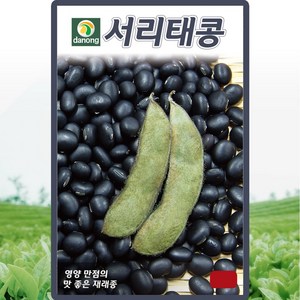 다농 서리태콩 씨앗 30g, 1개