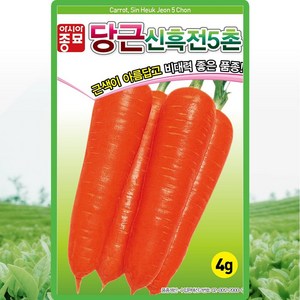 아시아종묘 신흑전5촌 당근 씨앗 4g 다수확 당근씨 종자, 1개