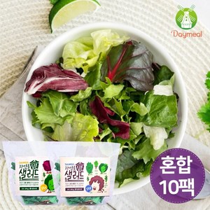 데이밀 자연을담은 샐러드 실속 혼합구성 100g x 10팩 국내산 야채믹스, 드레싱5종 혼합 10개, 10개