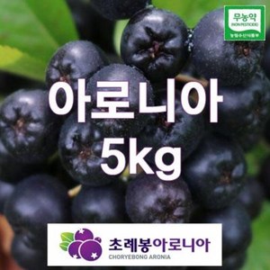 24년 유기농 자연초생재배 초례봉아로니아냉동생과열매 상급 5kg(꼭지있는것) / 농장 직배송, 5kg, 1개