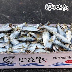 신건호멸치 육수용 국산 디포리(실속형) / 국물멸치 밴댕이, 1박스, 1.5kg