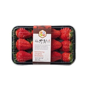 장희킹딸기 500g (킹딸기.10~12과) 1팩 _은혜농장, 1개