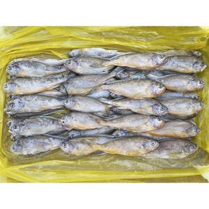 힘찬푸드 중국산 참조기 2.5KG 52마리 전후 업소용 도매, 1박스