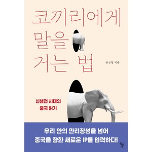 코끼리에게 말을 거는 법:신냉전 시대의 중국 읽기, 돌베개, 공상철