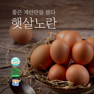 [햇살노란] 생계란 구운계란 무항생제인증 친환경 HACCP 식품안전관리인증 계란 15구 30구 60구, 1박스