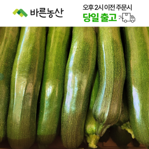 < 바른농산 > 국내산 주키니호박 쥬키니호박 못난이, 1개, 5kg