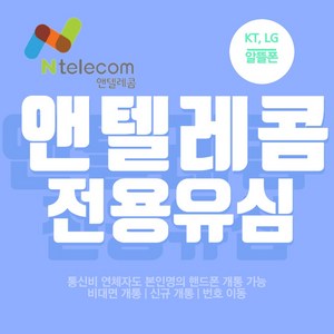 앤텔레콤 알뜰폰 (LG KT) 선불 유심 후불 유심 데이터 무제한 요금제 USIM, LG 유심, 1개