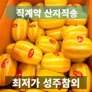 도매가 금메달농수산 산지직송 성주 못난이 참외, 1개, 9kg 로얄과 36과 내외