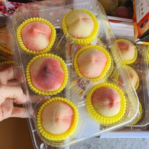 [우연팜] 산지직송 달콤한 경북 복숭아, 1박스, 털복숭아 소과 1kg