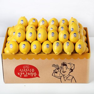 장보남 레몬 5kg 45-60과내외, 1박스, 5kg(45-60과내외)