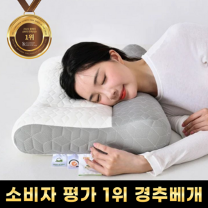 푸른잠 목편한 수면 경추 베개, 2개