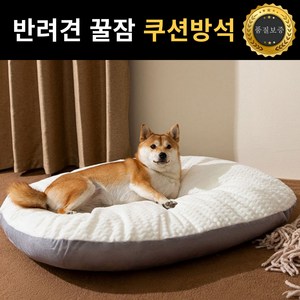 모던앤코 강아지 방석 애견 무중력 구름 반려견 쿠션 침대, 1개