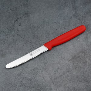 일본 니켄(NIKKEN) 칼라 과도 과일칼 식도, 일자, 1개, 레드