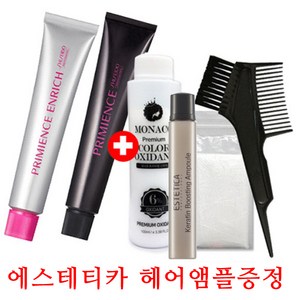 시세이도 염색약80g+에스테티카 염색혼합 앰플증정//멀티컬러/멋내기 유행칼라 프리미언스 멋내기칼라 염모제, 새치커버, 새치(내추럴베이지) NBe-6, 1개