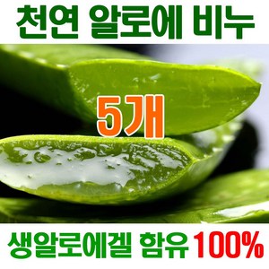 [오후5시 당일발송] 고농축 알로에비누 촉촉촉 보습진정 에너지 생 알로에천연비누 세수비누 비누 알로에 세안비누 천연 얼굴 YB맘, 100g, 5개