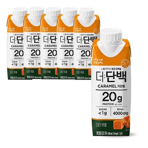 빙그레 더단백 드링크 카라멜 /단백질 음료, 250ml, 6개