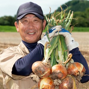 25년 국내산 단단한 햇 양파, 1개, 2kg 소과(개당 100g 이하)