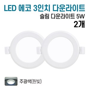 라인조명 LED 에코 3인치 다운라이트 5w (주광/전구/주백), 2개, 주광색(흰빛)