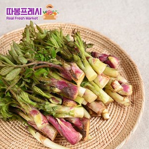 따봉프레시 당일수확 3차선별 향긋한 황제 두릅, 1개, 1kg