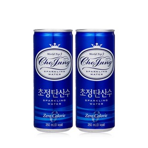 초정탄산수, 250ml, 60개