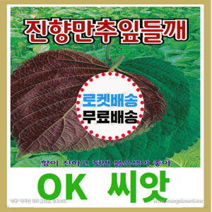 [OK씨앗] [진향만추잎들깨] 잎들깨씨앗 종자(오케이씨앗), 1개