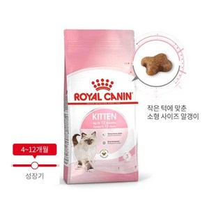 로얄캐닌 고양이 키튼 400g 1.2kg 4kg 10kg + 사은품 습식파우치1개 증정, 1개