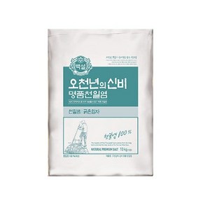 백설 오천년의 신비 명품천일염, 10kg, 1개