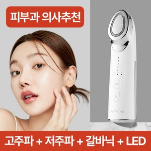 비프록셀 갈바닉 고주파 마사지기 얼굴 피부 관리기 뷰티디바이스 LED EMS