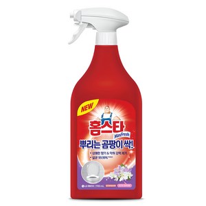 홈스타 뿌리는 곰팡이 싹 세정제, 900ml, 1개