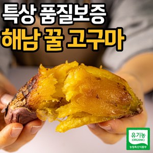 [특품] 해남 고구마 밤 호박 베니하루카 꿀고구마, 1개, 10kg(특상)