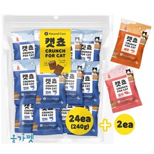 네츄럴코어 고양이간식 캣쵸 대용량 240g+20g, 1세트, 연어, 260g