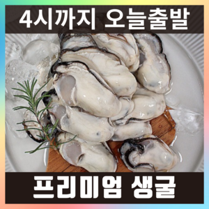 햇굴 생굴 당일작업 깐굴 굴 통영, 1개, 최상급(대굴) 1kg