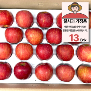 못난이 사과 5kg 초특가 부사, 1개, 5kg (25과 내외)