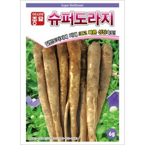 아시아종묘 씨앗 도라지 슈퍼도라지 500g