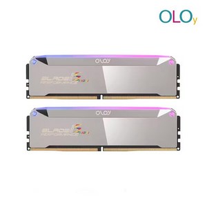 OLOy DDR5-6000 CL32 BLADE RGB MIRROR (32GB(16Gx2)), 2개