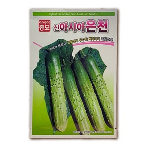 아시아종묘 신아시아은천 오이 씨앗 50립 (백다다기/흑침오이), 1개