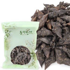 동의한재 국산 건조 능실 마름 물밤 열매, 300g, 1개