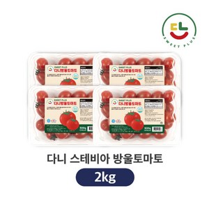 [다니]HACCP 다니스테비아토마토 스테비아 저칼로리 방울토마토 500g 4개, 1개