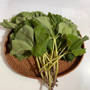 국내산 머위 머위순 머위잎, 1박스, 1kg