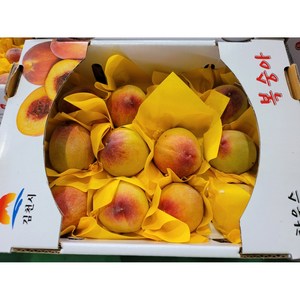 [산지직송]김천 딱딱이 말랑이 백도 황도 하우스 복숭아, 하우스 소과 1kg(7~9과), 1개