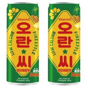 동아오츠카 오란씨 파인애플 캔, 250ml, 60개