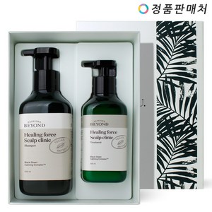 비욘드 힐링포스 스캘프 클리닉 샴푸 500ml+트리트먼트 300ml 기획세트, 1개