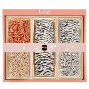 명절선물세트 남해안 명품멸치 선물세트 5호 대멸 300g+중멸100g+세멸150g+건새우50g+꽃새우50g, 1개