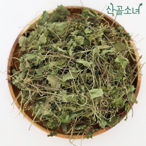 산골소녀 국내산 건조 금전초 병풀 긴병꽃풀, 100g, 100g, 1개