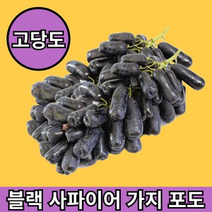 청년고집 고당도 블랙 사파이어 가지 포도 1kg 2kg, 1개