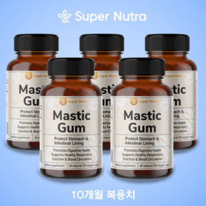 미국빠른직구 수퍼누트라 매스틱검 1000mg 120정 60일분, 5개